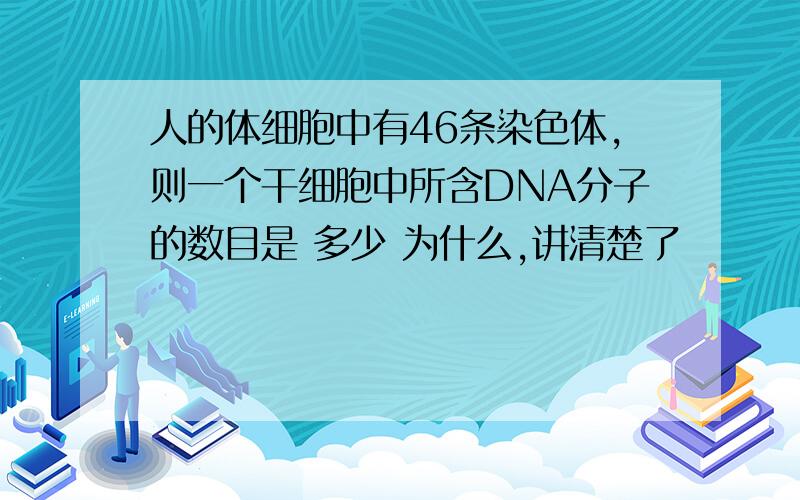 人的体细胞中有46条染色体,则一个干细胞中所含DNA分子的数目是 多少 为什么,讲清楚了