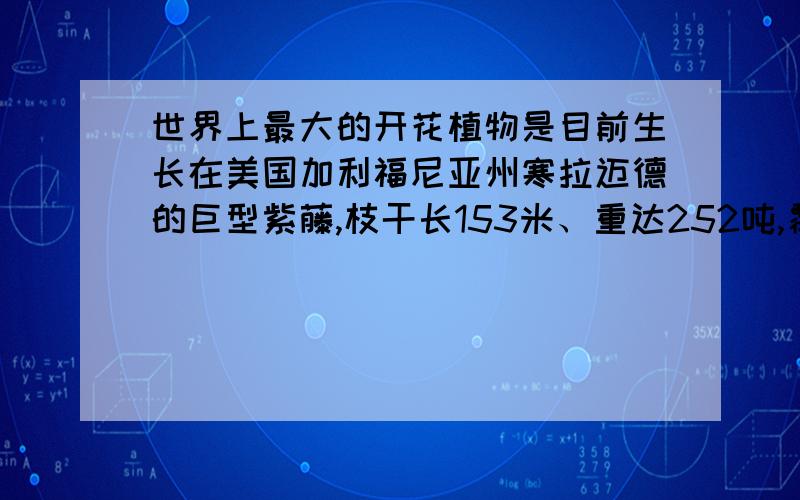 世界上最大的开花植物是目前生长在美国加利福尼亚州寒拉迈德的巨型紫藤,枝干长153米、重达252吨,覆盖面