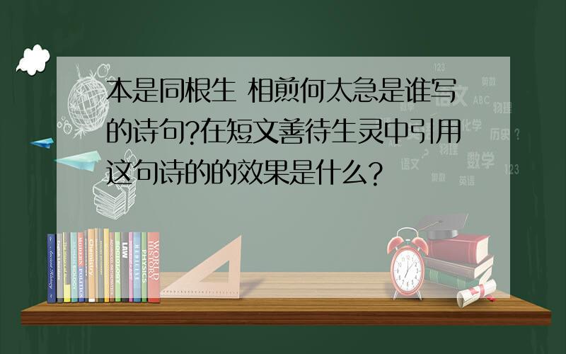 本是同根生 相煎何太急是谁写的诗句?在短文善待生灵中引用这句诗的的效果是什么?