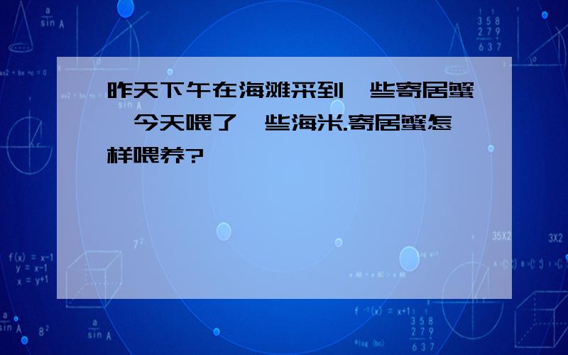 昨天下午在海滩采到一些寄居蟹,今天喂了一些海米.寄居蟹怎样喂养?