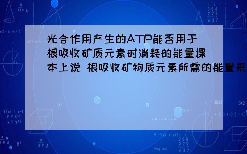 光合作用产生的ATP能否用于根吸收矿质元素时消耗的能量课本上说 根吸收矿物质元素所需的能量来自呼吸作用那么光合作用产生的ATP能否用于根吸收矿质元素?可是有些长有细小的类似于假