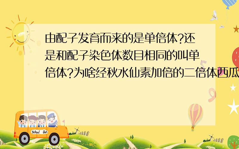 由配子发育而来的是单倍体?还是和配子染色体数目相同的叫单倍体?为啥经秋水仙素加倍的二倍体西瓜就成四倍体了?我凌乱了