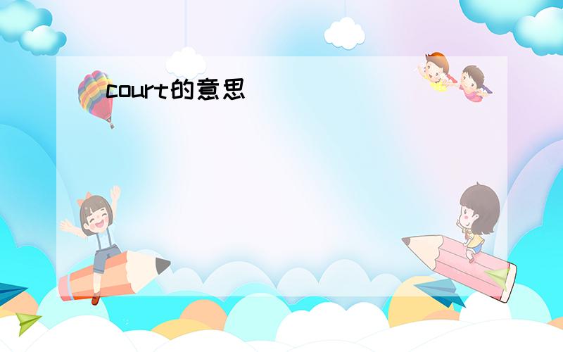 court的意思