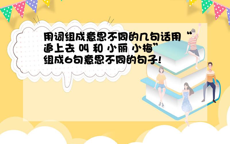 用词组成意思不同的几句话用“追上去 叫 和 小丽 小梅”组成6句意思不同的句子!