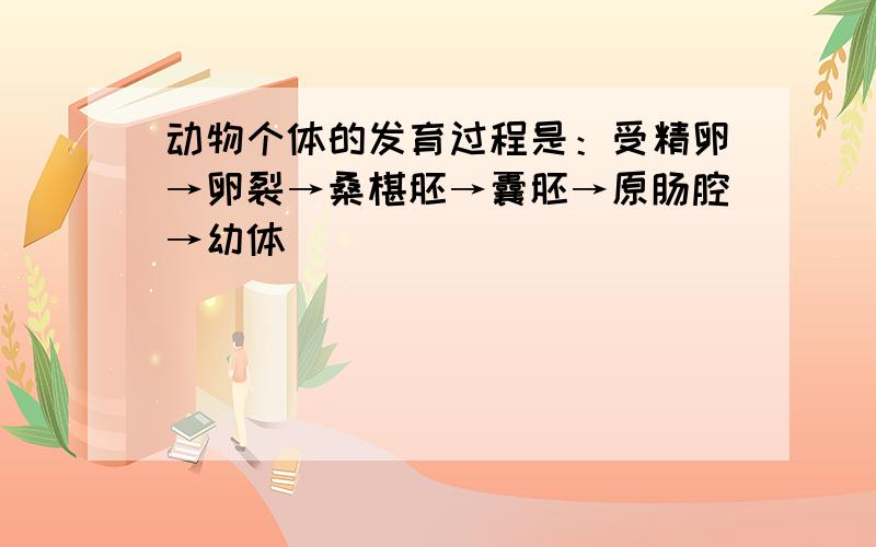 动物个体的发育过程是：受精卵→卵裂→桑椹胚→囊胚→原肠腔→幼体