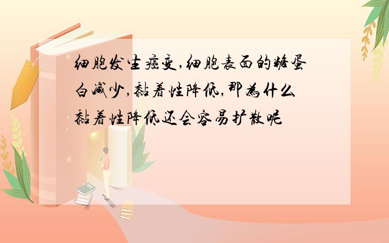 细胞发生癌变,细胞表面的糖蛋白减少,黏着性降低,那为什么黏着性降低还会容易扩散呢