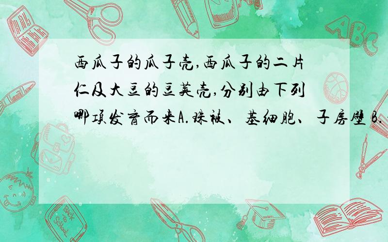 西瓜子的瓜子壳,西瓜子的二片仁及大豆的豆荚壳,分别由下列哪项发育而来A.珠被、基细胞、子房壁 B.子房壁、顶细胞、珠被 C.珠被、顶细胞、子房壁 D.子房壁、基细胞、珠被