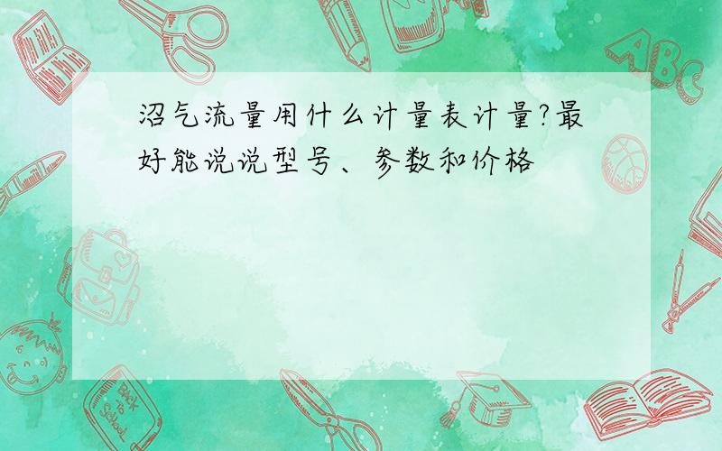 沼气流量用什么计量表计量?最好能说说型号、参数和价格