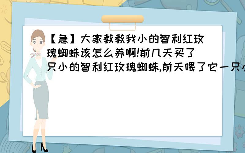 【急】大家教教我小的智利红玫瑰蜘蛛该怎么养啊!前几天买了只小的智利红玫瑰蜘蛛,前天喂了它一只小的虫子,是把头弄掉直接放在里面的,到现在它都没有吃.我的是一只很小的蜘蛛,现在只