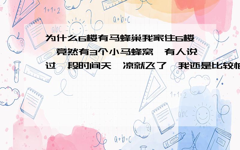 为什么6楼有马蜂巢我家住6楼,竟然有3个小马蜂窝,有人说过一段时间天一凉就飞了,我还是比较怕,窗户都不敢开,还有为什么6楼马蜂窝多啊?