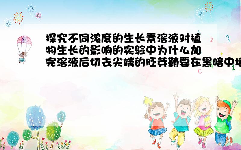 探究不同浓度的生长素溶液对植物生长的影响的实验中为什么加完溶液后切去尖端的胚芽鞘要在黑暗中培育?