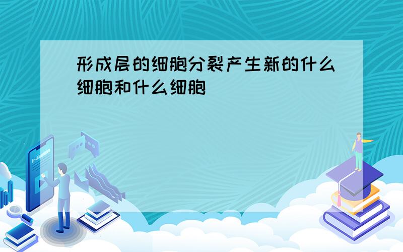 形成层的细胞分裂产生新的什么细胞和什么细胞