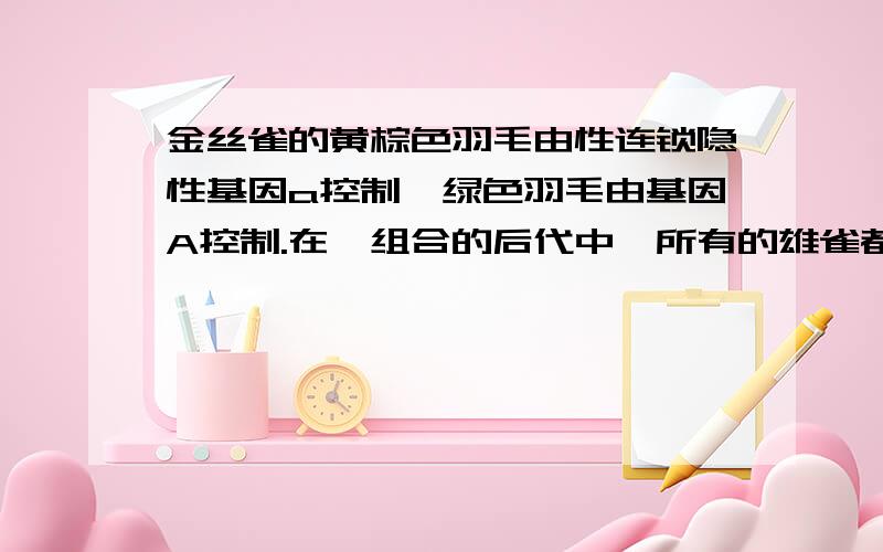 金丝雀的黄棕色羽毛由性连锁隐性基因a控制,绿色羽毛由基因A控制.在一组合的后代中,所有的雄雀都是绿毛的,雌雀都是黄棕色的.该组合的亲本父本基因型为__________,母本基因型为__________.