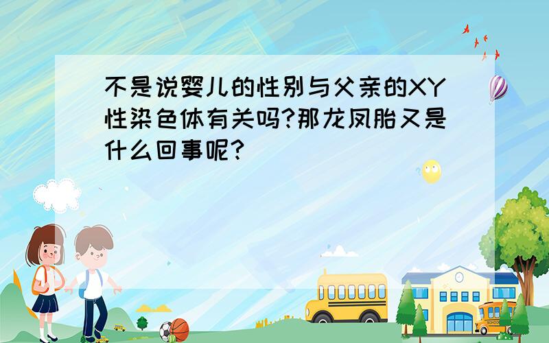 不是说婴儿的性别与父亲的XY性染色体有关吗?那龙凤胎又是什么回事呢?