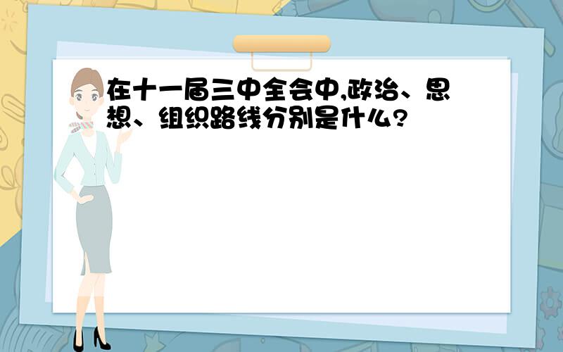 在十一届三中全会中,政治、思想、组织路线分别是什么?