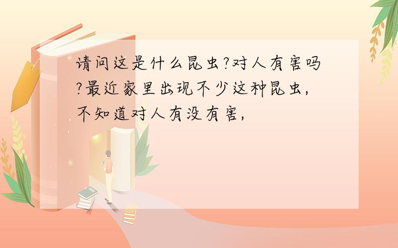 请问这是什么昆虫?对人有害吗?最近家里出现不少这种昆虫,不知道对人有没有害,