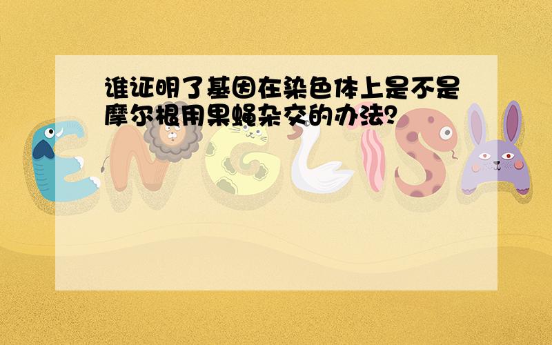 谁证明了基因在染色体上是不是摩尔根用果蝇杂交的办法？