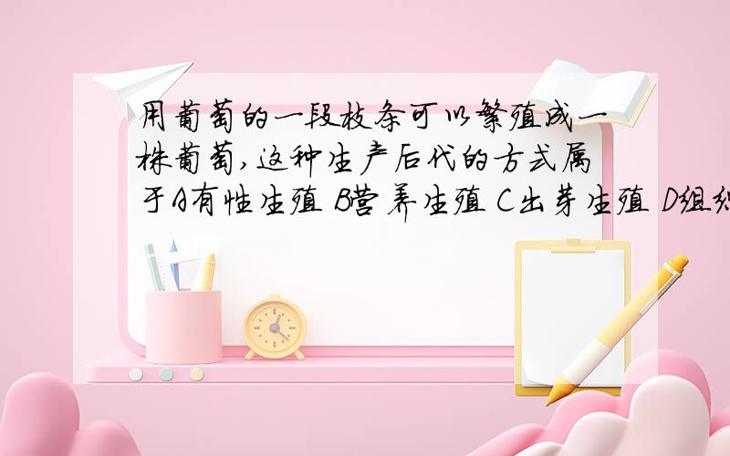 用葡萄的一段枝条可以繁殖成一株葡萄,这种生产后代的方式属于A有性生殖 B营养生殖 C出芽生殖 D组织培养