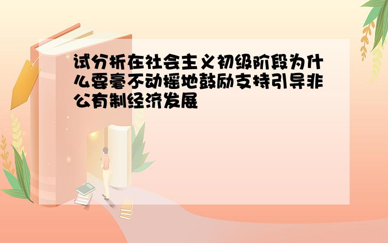 试分析在社会主义初级阶段为什么要毫不动摇地鼓励支持引导非公有制经济发展