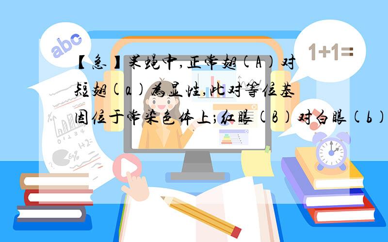 【急】果蝇中,正常翅(A)对短翅(a)为显性,此对等位基因位于常染色体上；红眼(B)对白眼(b)为 显性,此对等果蝇中,正常翅(A)对短翅(a)为显性,此对等位基因位于常染色体上；红眼(B)对白眼(b)为 显