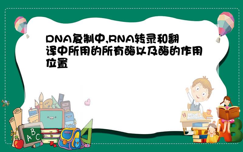 DNA复制中,RNA转录和翻译中所用的所有酶以及酶的作用位置