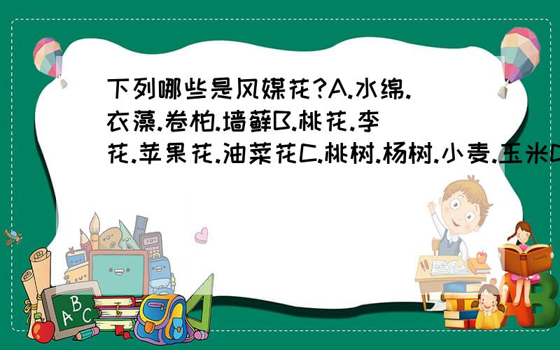 下列哪些是风媒花?A.水绵.衣藻.卷柏.墙藓B.桃花.李花.苹果花.油菜花C.桃树.杨树.小麦.玉米D.上面的都不是解释一下哦