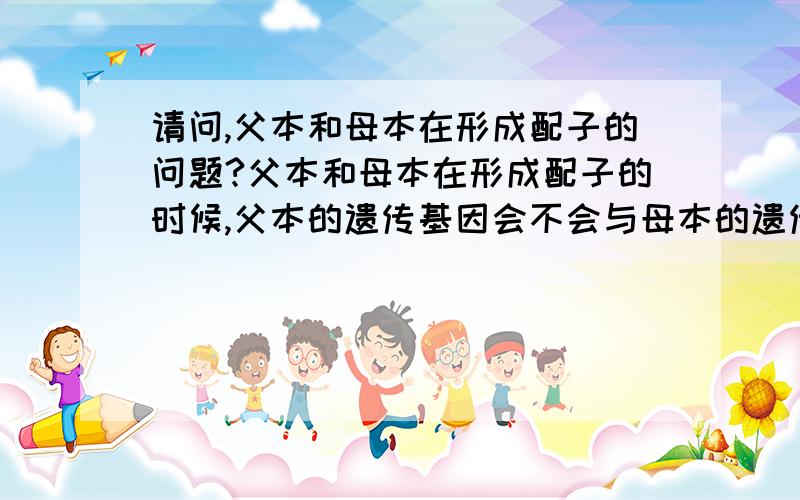 请问,父本和母本在形成配子的问题?父本和母本在形成配子的时候,父本的遗传基因会不会与母本的遗传基因基因形成配子?比如：AABb*AaBb,AABb中的A会不会和AaBb的B形成配子?还有,AABb中的A应该不