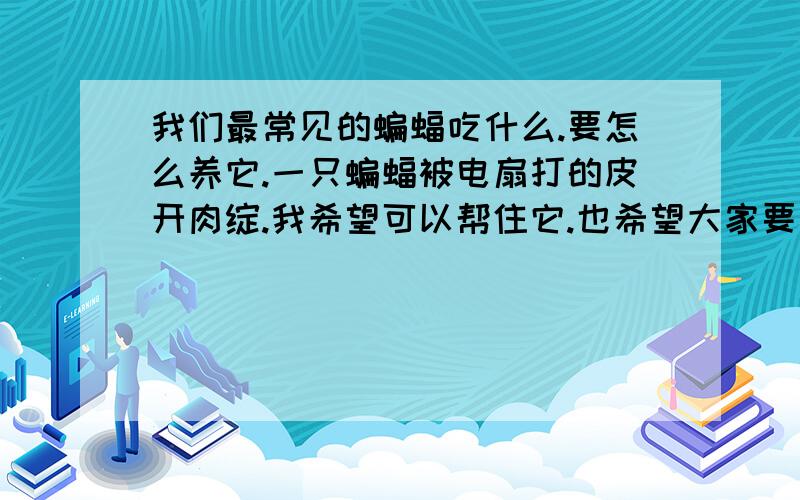 我们最常见的蝙蝠吃什么.要怎么养它.一只蝙蝠被电扇打的皮开肉绽.我希望可以帮住它.也希望大家要爱护动物.不要让生命在我们身边死去