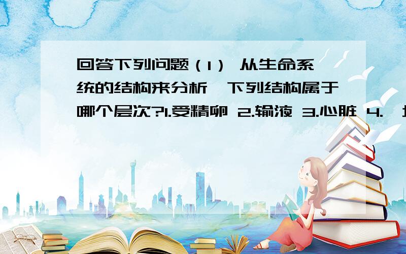 回答下列问题（1） 从生命系统的结构来分析,下列结构属于哪个层次?1.受精卵 2.输液 3.心脏 4.一块骨骼肌 5.血液 6.筛管 7.一个酵母菌8.池塘中的所有金鱼 9.某山上的所有生物 10.一片森林 11.一