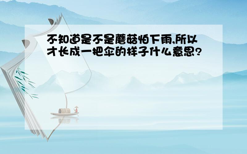 不知道是不是蘑菇怕下雨,所以才长成一把伞的样子什么意思?