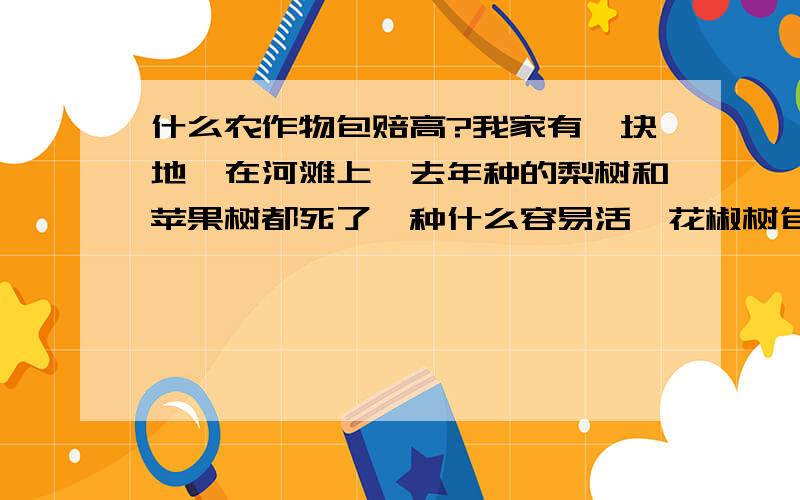 什么农作物包赔高?我家有一块地,在河滩上,去年种的梨树和苹果树都死了,种什么容易活,花椒树包赔高吗我说的第地政府想征用开发.