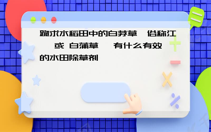 跪求水稻田中的白茅草{俗称江稗 或 白蒲草} 有什么有效的水田除草剂