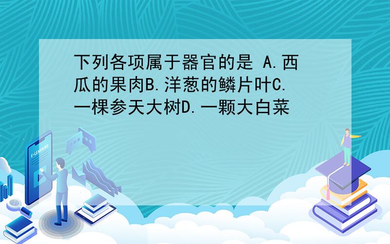 下列各项属于器官的是 A.西瓜的果肉B.洋葱的鳞片叶C.一棵参天大树D.一颗大白菜