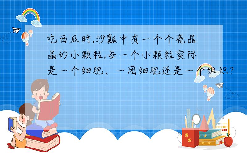 吃西瓜时,沙瓤中有一个个亮晶晶的小颗粒,每一个小颗粒实际是一个细胞、一团细胞还是一个组织?