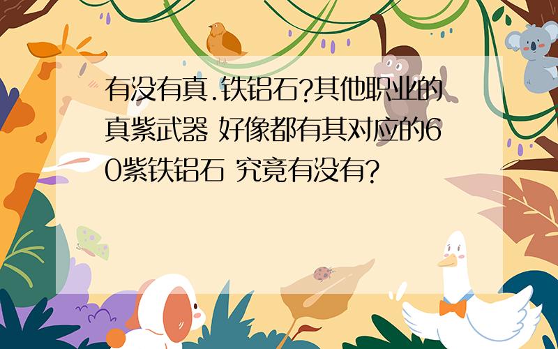 有没有真.铁铝石?其他职业的真紫武器 好像都有其对应的60紫铁铝石 究竟有没有?