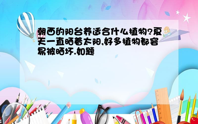 朝西的阳台养适合什么植物?夏天一直晒着太阳,好多植物都容易被晒坏.如题
