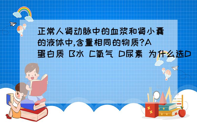 正常人肾动脉中的血浆和肾小囊的液体中,含量相同的物质?A蛋白质 B水 C氧气 D尿素 为什么选D