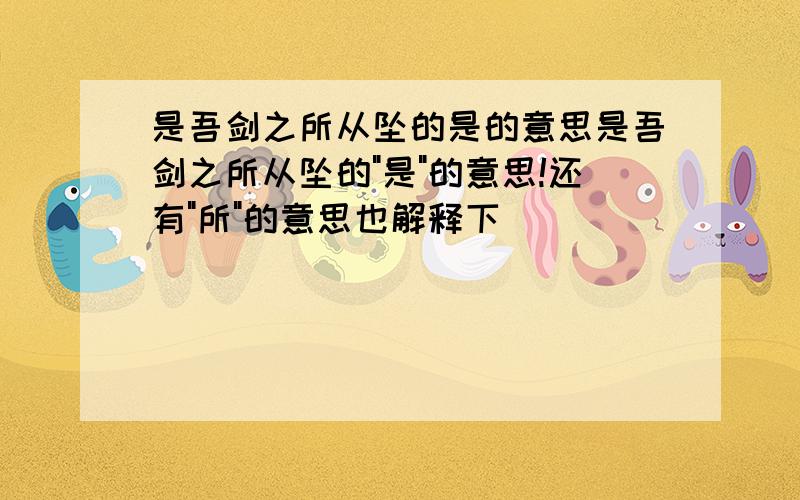 是吾剑之所从坠的是的意思是吾剑之所从坠的