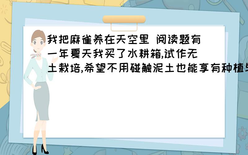 我把麻雀养在天空里 阅读题有一年夏天我买了水耕箱,试作无土栽培,希望不用碰触泥土也能享有种植与收获的乐趣,那是我第一次种植.我将水耕箱放在阳台上,预期三周后能品尝自己亲手栽培