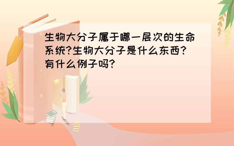 生物大分子属于哪一层次的生命系统?生物大分子是什么东西?有什么例子吗?