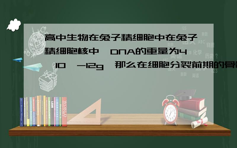 高中生物在兔子精细胞中在兔子精细胞核中,DNA的重量为4*10^-12g,那么在细胞分裂前期的骨髓细胞核中的DN重量和减数第一次分裂的后期细胞中的DNA重量分别()A,4*10^-12g,8*10^-12gB,16*10^-12g,8*10^-12gC,8