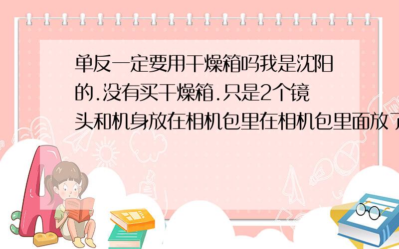 单反一定要用干燥箱吗我是沈阳的.没有买干燥箱.只是2个镜头和机身放在相机包里在相机包里面放了半瓶硅胶干燥剂.用纱布包着的.基本每周都要用几次相机.这样可以么.一定要干燥箱吗?