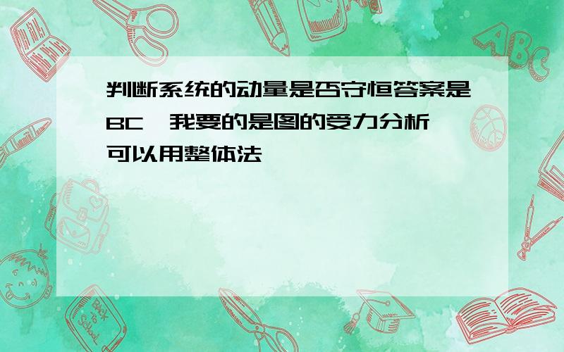 判断系统的动量是否守恒答案是BC,我要的是图的受力分析,可以用整体法