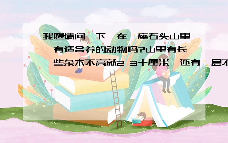 我想请问一下,在一座石头山里,有适合养的动物吗?山里有长一些杂木不高就2 3十厘米,还有一层不是很厚的土