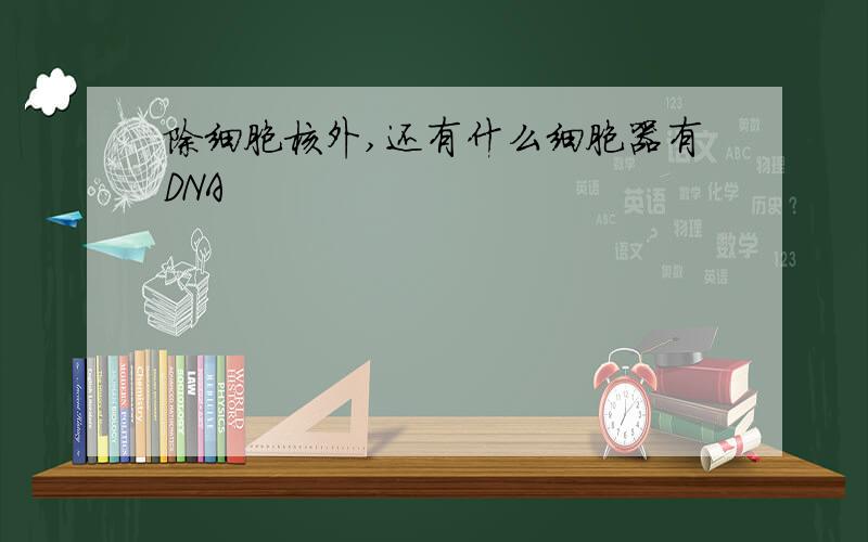 除细胞核外,还有什么细胞器有DNA