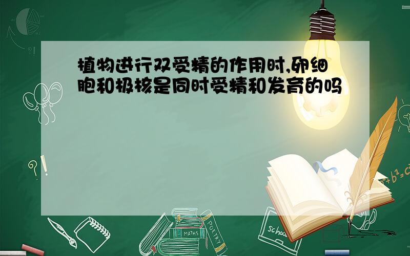 植物进行双受精的作用时,卵细胞和极核是同时受精和发育的吗