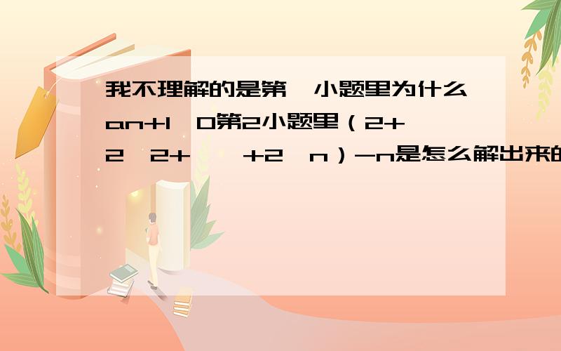 我不理解的是第一小题里为什么an+1≠0第2小题里（2+2^2+……+2^n）-n是怎么解出来的又是怎么得出2^n+1-2-n的呢?