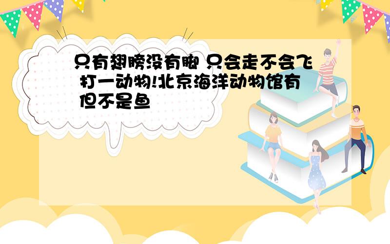 只有翅膀没有脚 只会走不会飞 打一动物!北京海洋动物馆有 但不是鱼