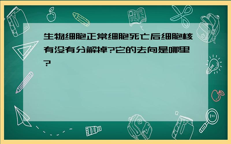 生物细胞正常细胞死亡后细胞核有没有分解掉?它的去向是哪里?