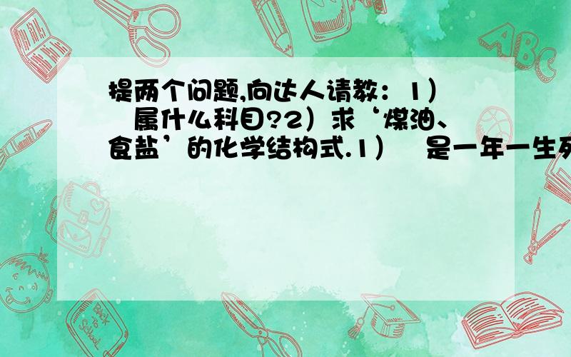 提两个问题,向达人请教：1）蔴属什么科目?2）求‘煤油、食盐’的化学结构式.1）蔴是一年一生死的草本还是落叶乔木?1）+ 2）的要求：要用能够‘复制、粘贴’形式的答案；不要PDF等格式